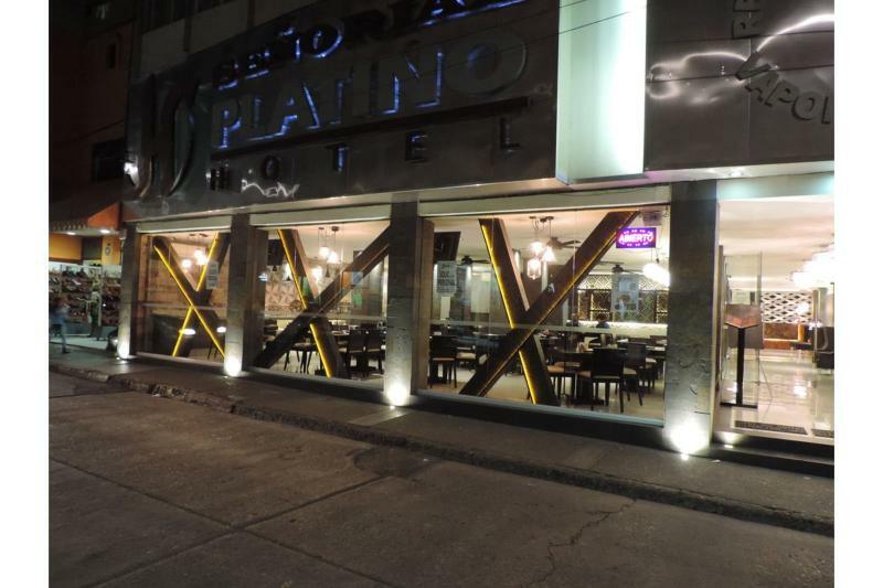 Hotel Senorial Platino ليون المظهر الخارجي الصورة