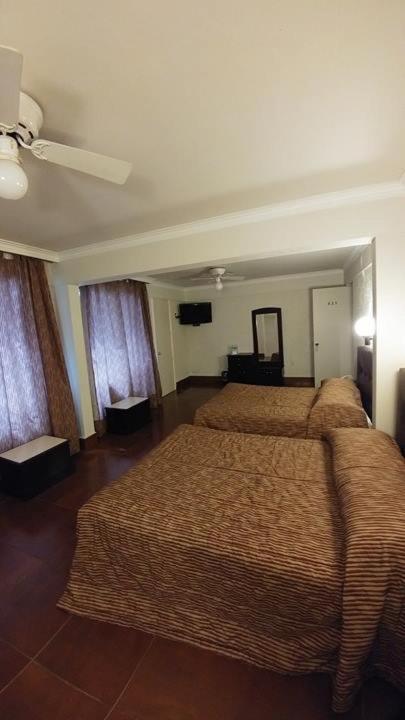 Hotel Senorial Platino ليون المظهر الخارجي الصورة